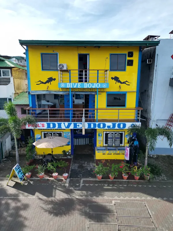 Façade jaune d'un centre de plongée avec des palmiers et végétation