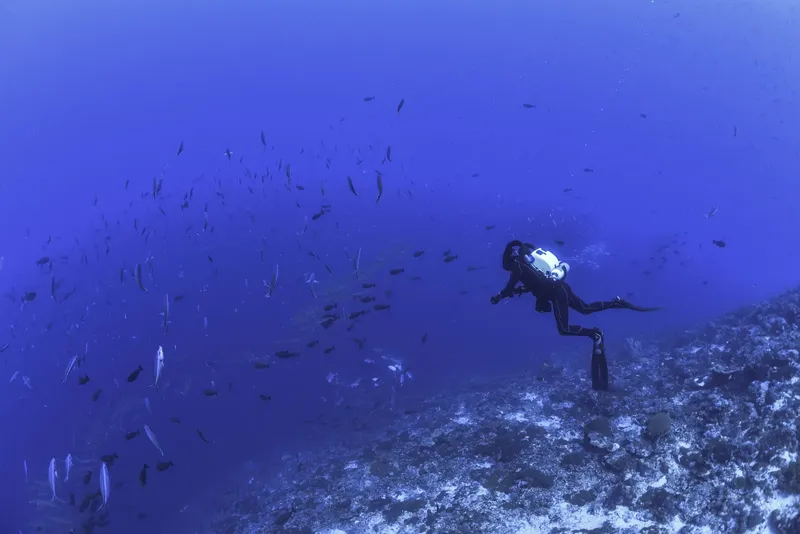 Plongeur en scaphandre explore un récif corallien entouré de poissons