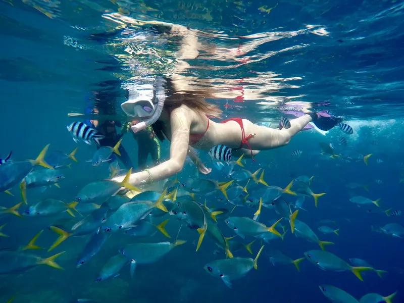 Femme nageant avec des poissons tropicaux dans une eau turquoise claire