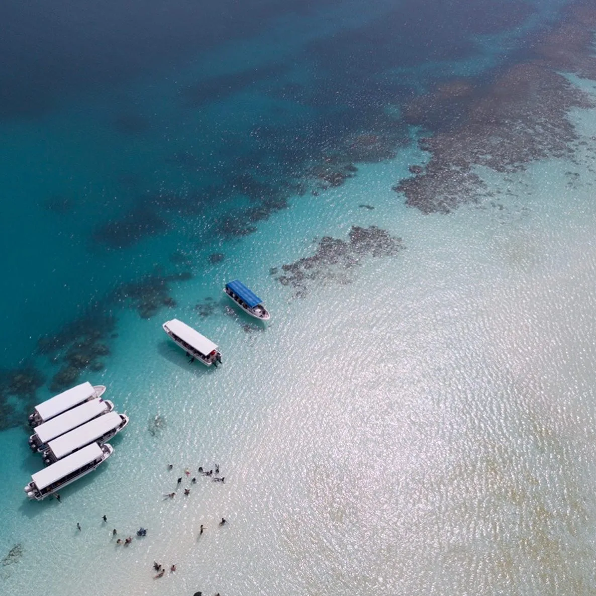 Vue aérienne de bateaux et de personnes dans une eau turquoise claire
