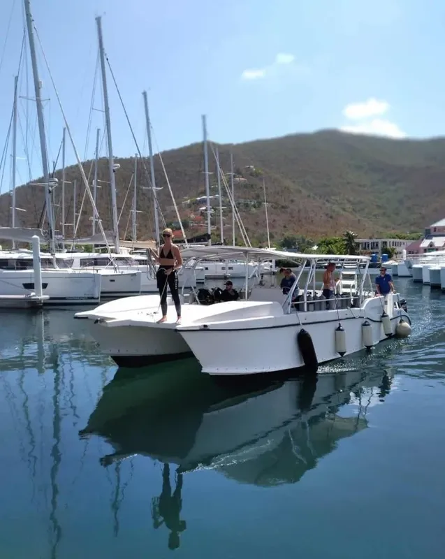 Plongeuse sur un bateau de plongée amarré dans un port ensoleillé