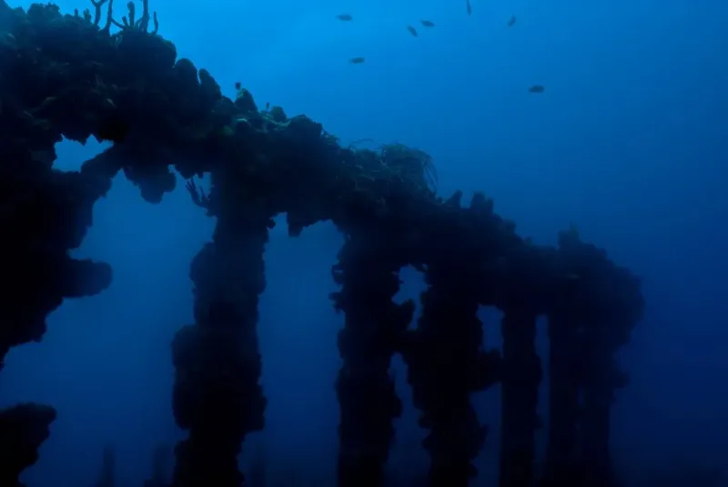 Épave métallique colonisée par la vie marine en milieu aquatique
