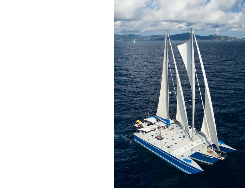 Grand catamaran bleu et blanc navigue sur une mer calme