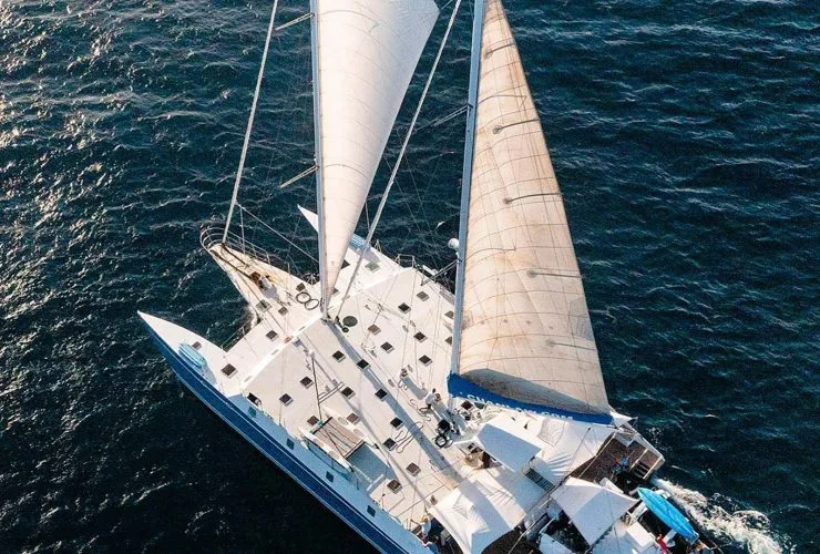 Catamaran blanc naviguant sur une mer bleue avec ses voiles déployées