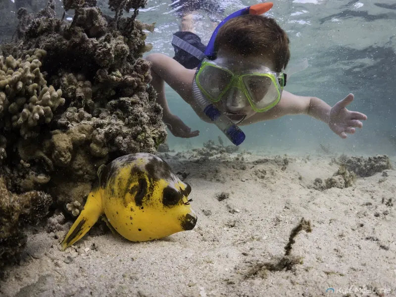 Enfant avec masque et tuba nageant près d'un poisson-ballon jaune