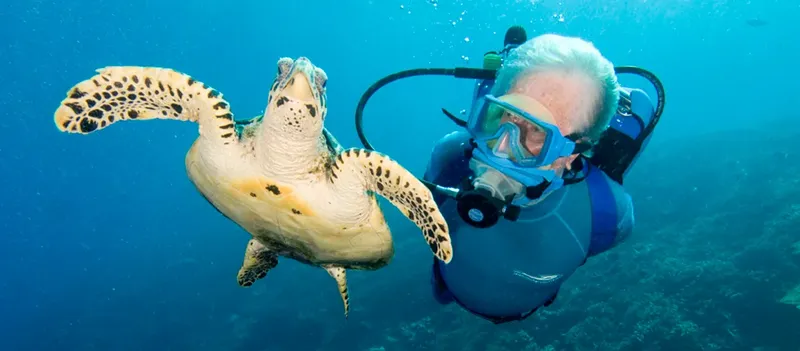 Tortue marine nageant près d'un plongeur en combinaison bleue