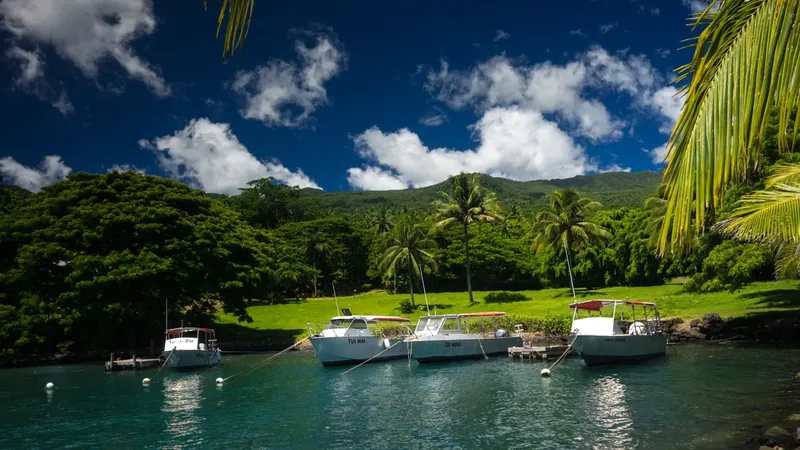 Trois bateaux de plongée amarrés dans une baie tropicale ensoleillée