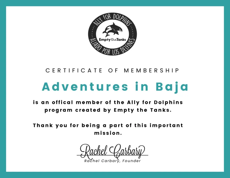 Certificat de membre pour la protection des dauphins Baja California