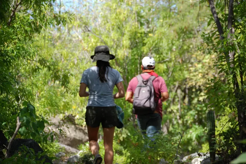 Deux personnes marchent sur un sentier dans une végétation luxuriante