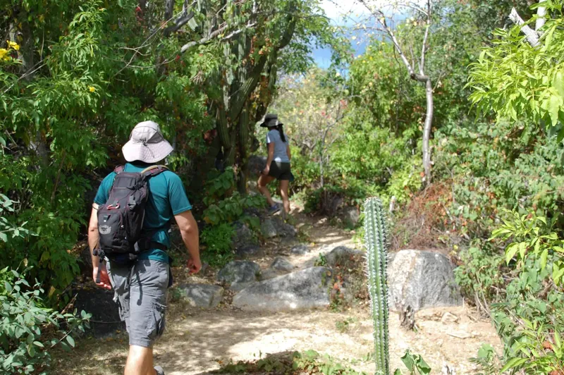 Deux randonneurs progressent sur un sentier boisé et rocheux