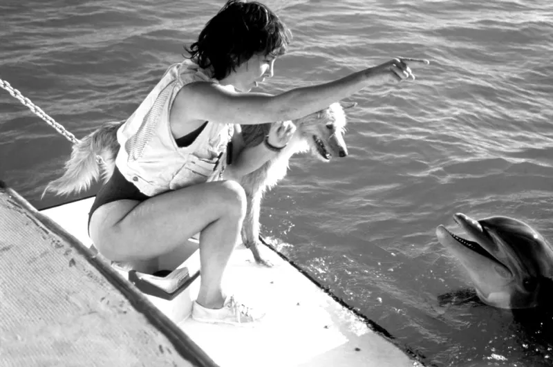 Femme et chien pointent vers un dauphin au bord d'un quai