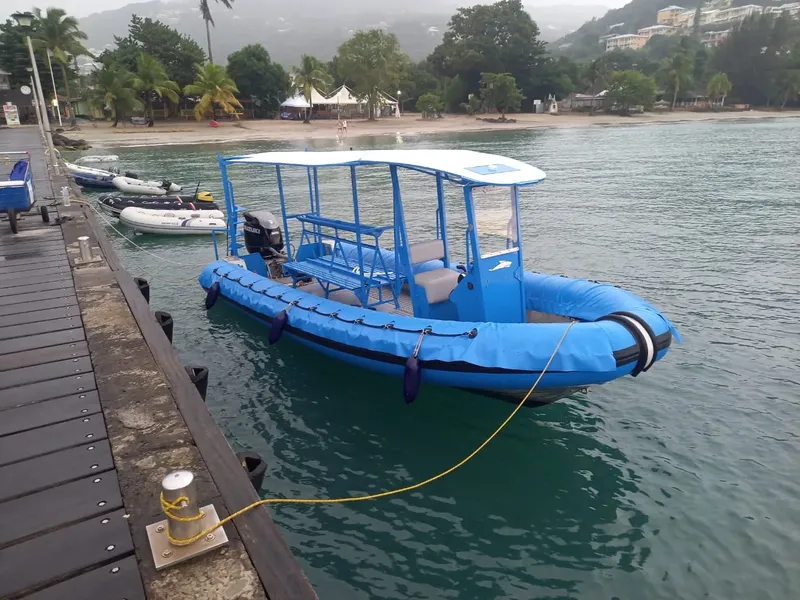 Bateau pneumatique bleu amarré à un ponton en bois au bord de l'eau