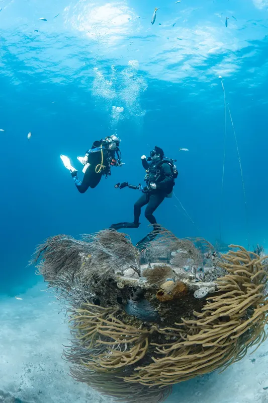 Deux plongeurs explorent un récif corallien en eau bleue claire
