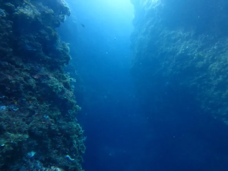 Vue sous-marine d'une paroi rocheuse avec de la lumière filtrant