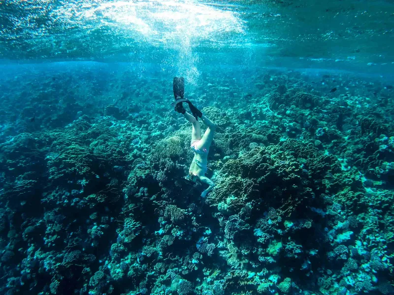Apnée : une personne explore un récif corallien bleu turquoise