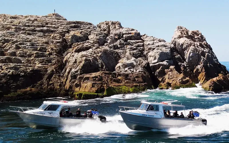 Deux bateaux rapides naviguent devant une côte rocheuse ensoleillée
