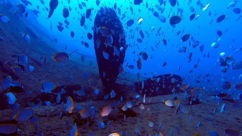 Banc de poissons autour d'une statue immergée dans l'eau bleue