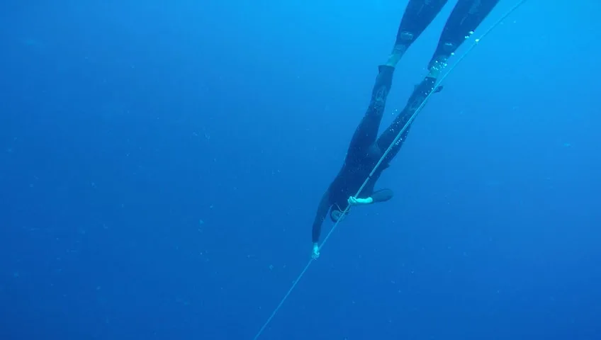 Apnée : un plongeur en combinaison descend le long d'un câble