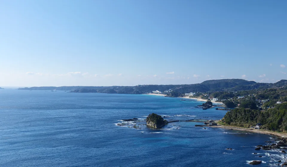 Tokyo International Diving Club