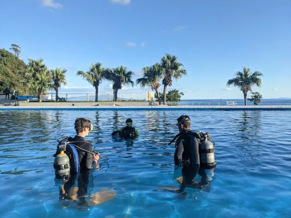Trois plongeurs en combinaison et équipés dans une piscine bleue