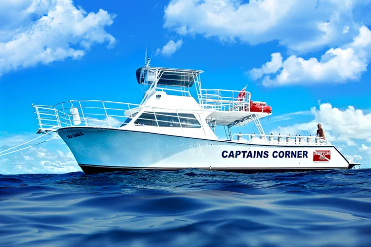Bateau de plongée blanc et bleu sur une mer calme et ensoleillée