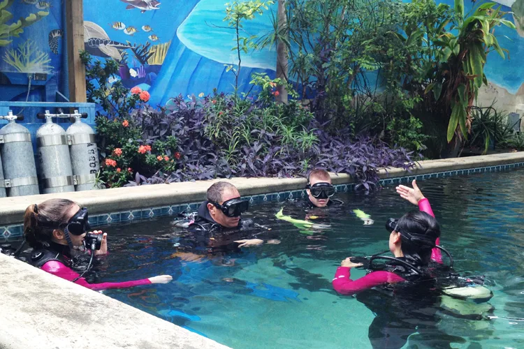 Plongeurs en formation dans une piscine avec équipement complet