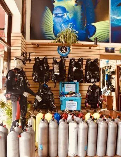 Equipement de plongée complet exposé dans un magasin avec des bouteilles