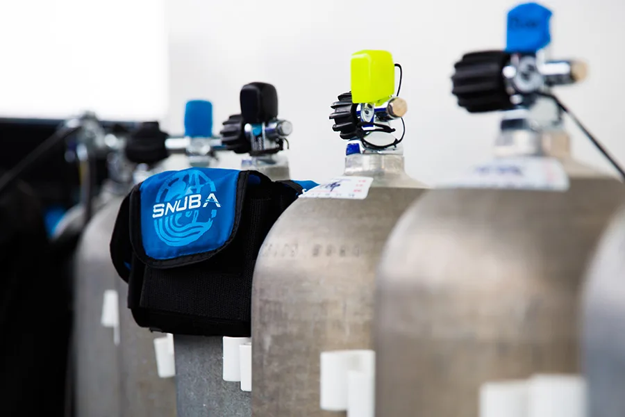 Bouteilles de plongée alignées avec détendeurs et accessoires bleus
