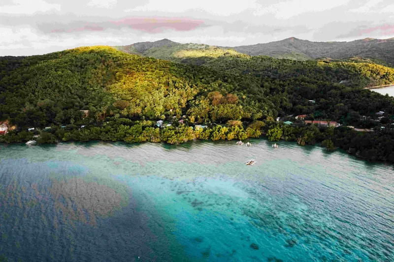 Vue aérienne d'une crique avec des bateaux et végétation luxuriante