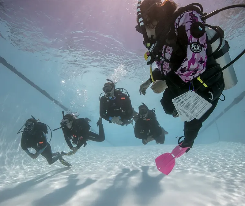 Groupe de plongeurs en formation dans une piscine, équipement complet