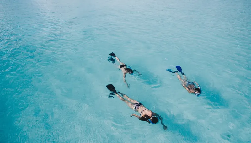 Trois personnes pratiquent le snorkeling dans une eau turquoise claire