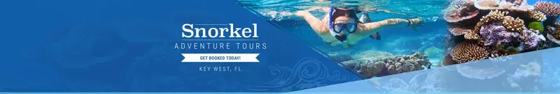 Une personne fait du snorkeling au milieu des coraux et poissons