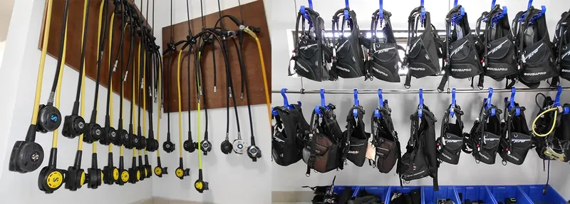 Rangées d'équipements de plongée suspendus dans un local bien rangé