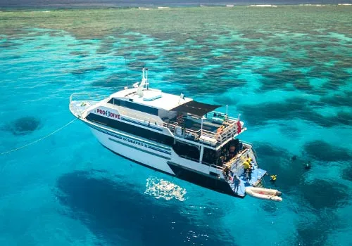 Bateau de plongée blanc et bleu avec des personnes à bord en mer