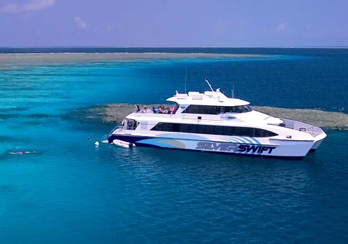 Catamaran blanc et bleu en mer turquoise avec des plongeurs