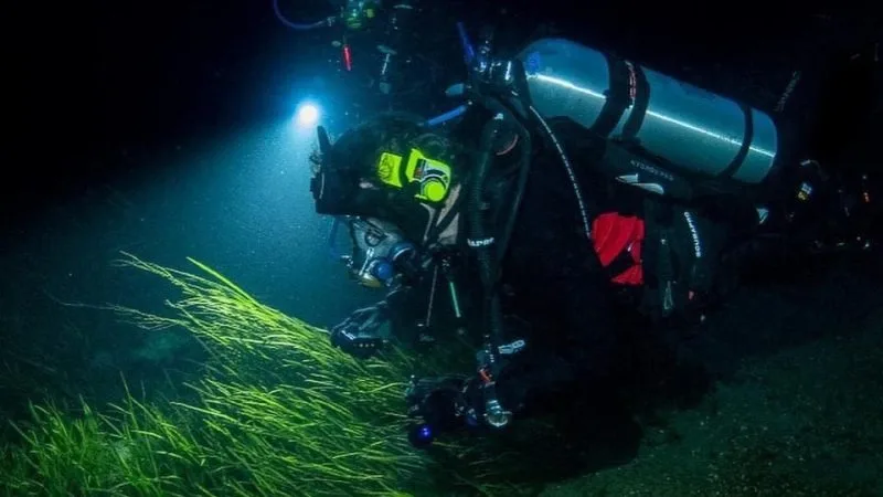 Plongeur en exploration sous-marine avec équipement complet et éclairage