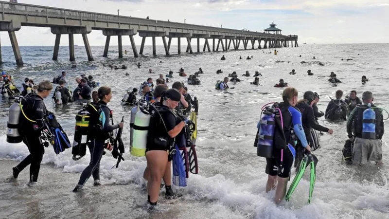 Groupe de plongeurs entrant dans l'eau depuis une plage