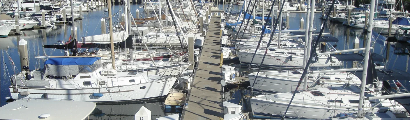 Nombreux bateaux amarrés dans un port de plaisance ensoleillé
