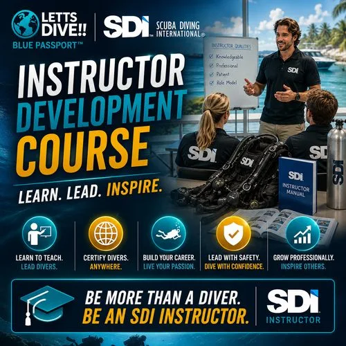 Publicité pour une formation instructeur de plongée avec des participants