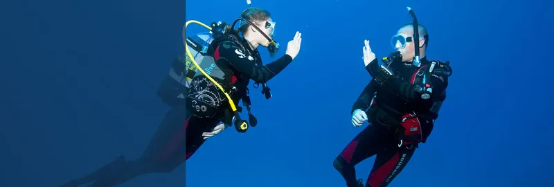 Deux plongeurs communiquent avec leurs mains dans l'eau bleue