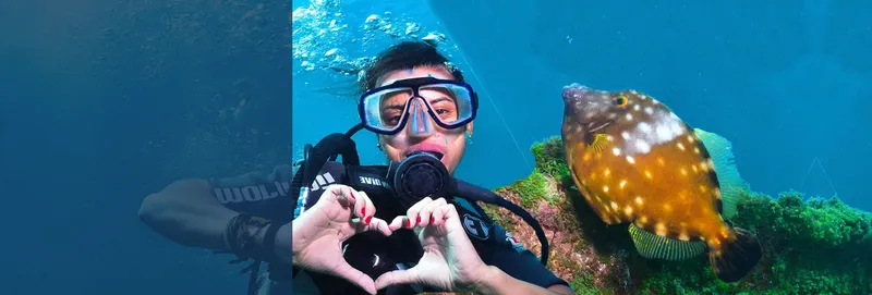 Plongeuse face à un poisson-globe tacheté sur un fond marin rocheux