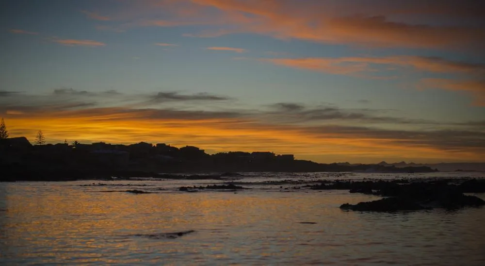 Shark Cage Diving Gansbaai | White Shark Projects™