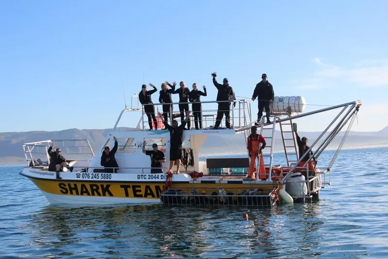 Equipe de plongeurs sur un bateau jaune et blanc en mer