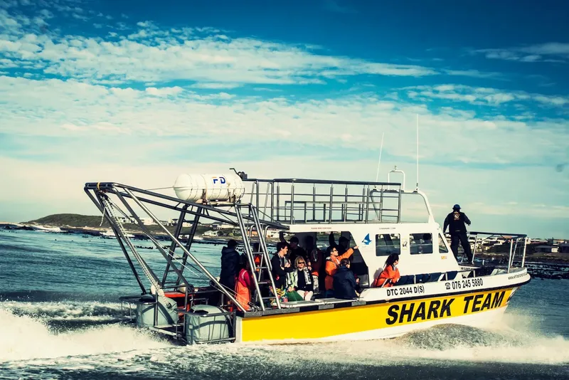 Bateau de plongée jaune avec des passagers et l'inscription Shark Team