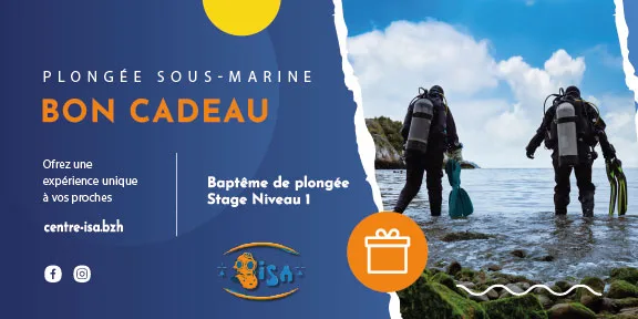 Deux plongeurs équipés marchent dans l'eau avec leurs palmes