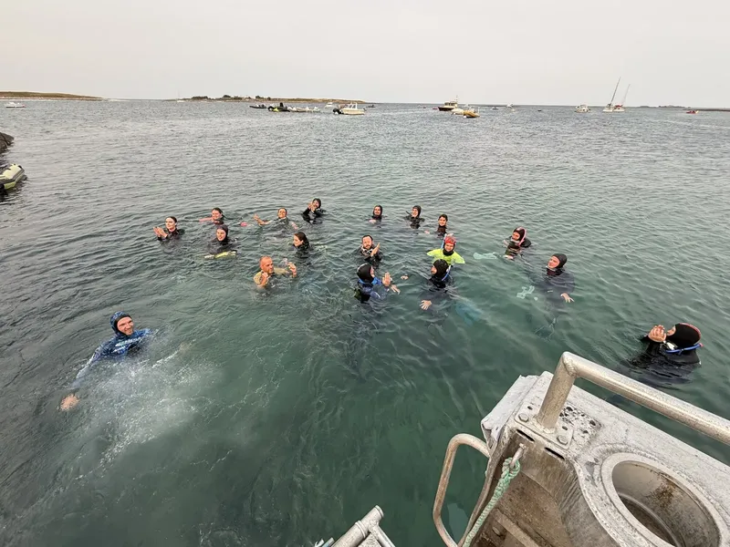 Groupe de plongeurs en combinaison dans l'eau, souriant et regardant