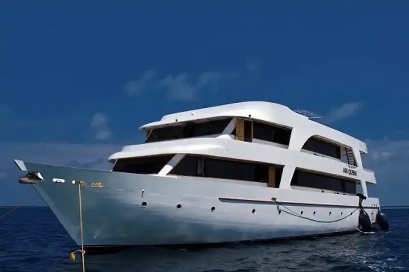 Grand bateau de plongée blanc et bleu sur une mer calme
