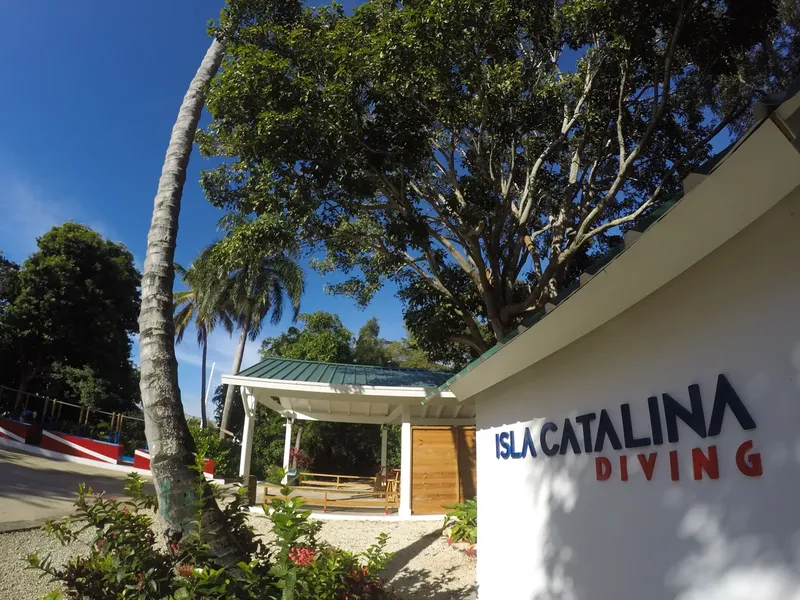 Bâtiment blanc avec enseigne bleue, végétation tropicale et ciel bleu clair