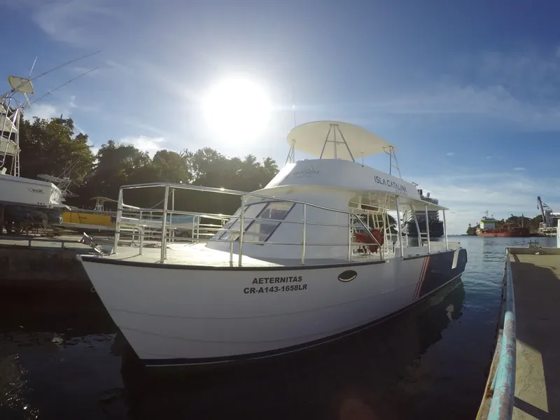 Bateau de plongée amarré à un quai ensoleillé avec des arbres verts