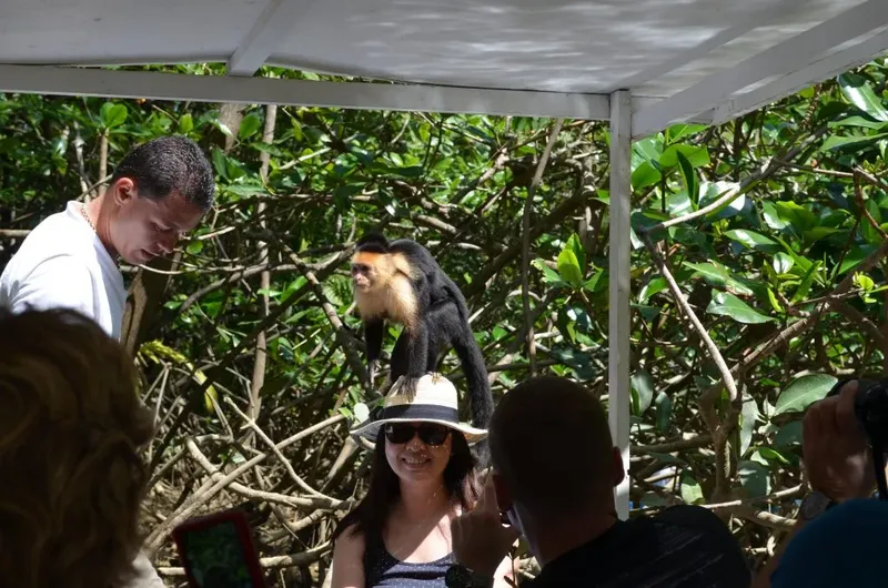 Singe perché sur la tête d'une femme souriante, personnes autour